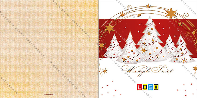 Kartki świąteczne nieskładane - BN2-135 awers